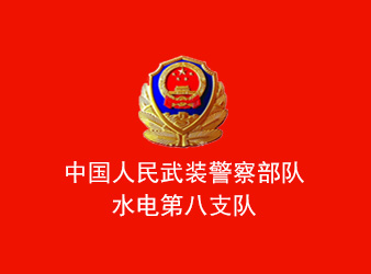 武警八支隊